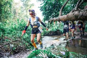 BIB: 
                            <button type="button" onclick="openModal(25462055)" class="btn btn-primary btn-sm float-right btn-popup" data-toggle="modal" data-target=".modal-high-quality">
                        <i class="fas fa-shopping-cart"></i> Add to Cart
                    </button>
                                            <button type="button" onclick="isThisMe(25462055, true)" class="btn btn-success btn-sm float-right btn-popup btn-isme hidden" data-toggle="tooltip" data-placement="bottom" title="นี่คือรูปของคุณใช่ไหม คลิกที่นี่เพื่อเอาเข้าอัลบั้ม">
                        <i class="fas fa-plus"></i> Add to album
                    </button>
                    <button type="button" onclick="isThisMe(25462055, false)" class="btn btn-warning btn-sm float-right btn-popup btn-isnotme hidden">
                        <i class="fas fa-ban"></i> Remove from album
                    </button>